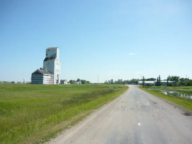Grain elevator and First Avenue, Meacham